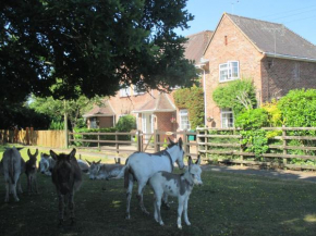 Hops Main House New Forest